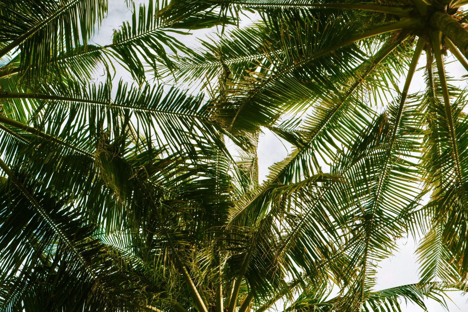 Cuộc thi chụp ảnh công sở 2024